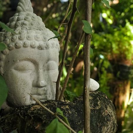 Pousada Zen Caraíva Екстериор снимка